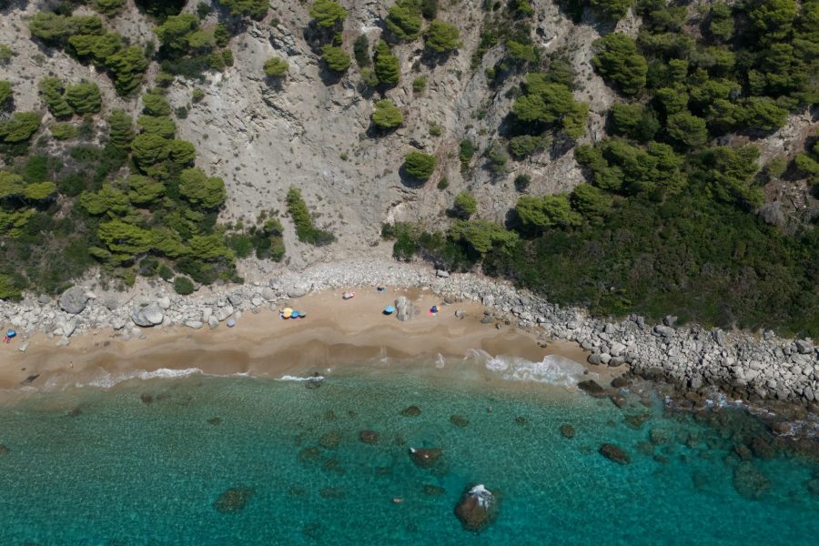🌊 Málaga and Corfu from £30, Orlando for £396, Auckland and Montevideo in £800s