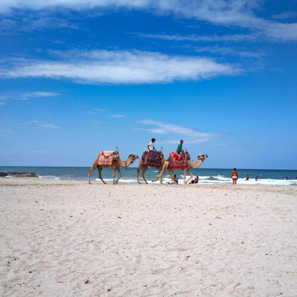 🐫 Europe under £31, Tunisia for £99, Hanoi for £382 and Singapore for £430