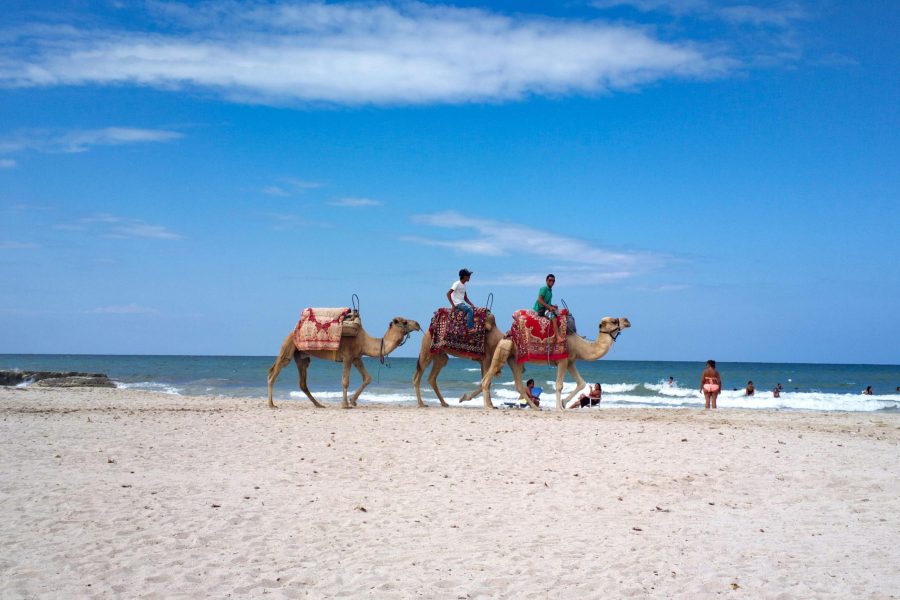 🐫 Europe under £31, Tunisia for £99, Hanoi for £382 and Singapore for £430