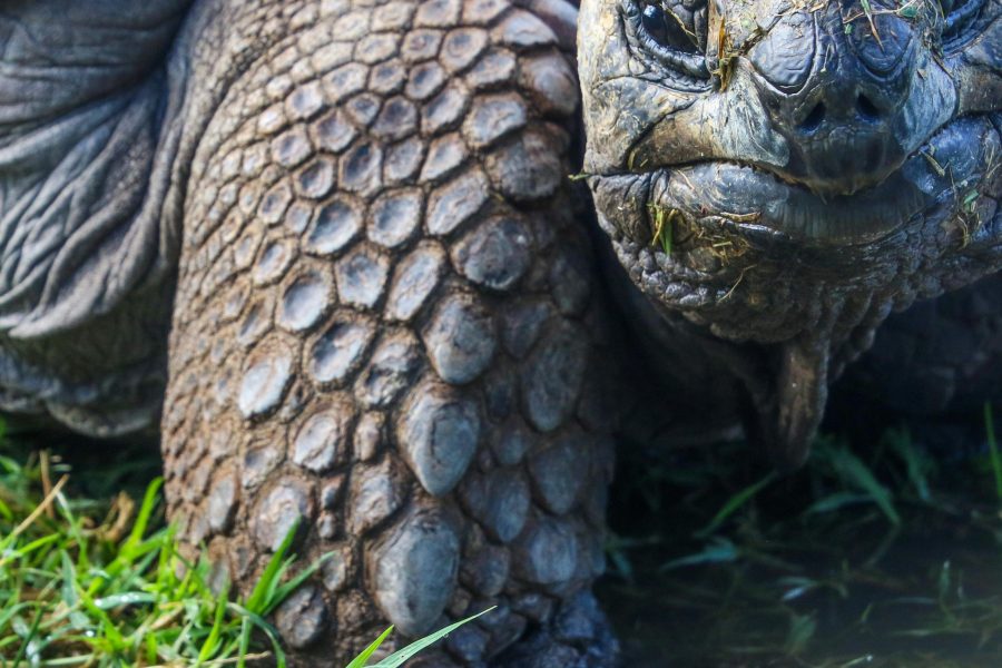 🐢 Weekend breaks around £50, Greenland for £594 and Galapagos Islands for £699!