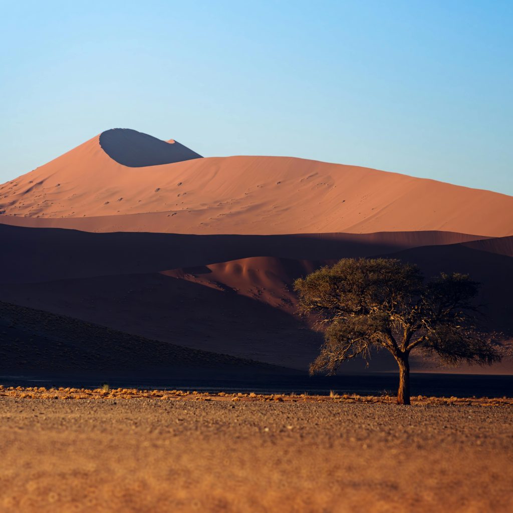 🦓 SUMMER: Porto and Bari from £47, Hong Kong and Goa in £400s, Namibia for £747