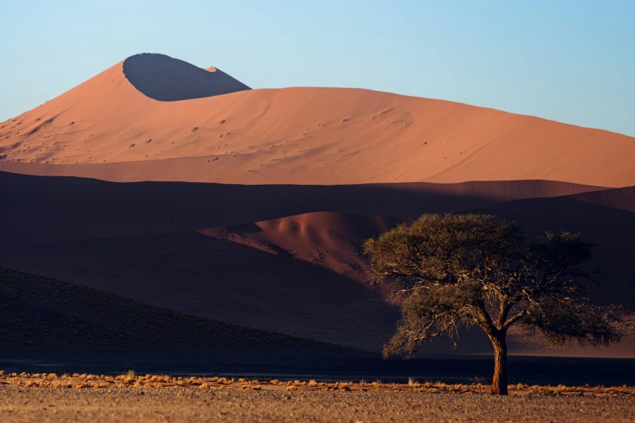 🦓 SUMMER: Porto and Bari from £47, Hong Kong and Goa in £400s, Namibia for £747